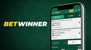 BetWinner BR Login A Complete Guide BetWinner BR Login A Complete Guide