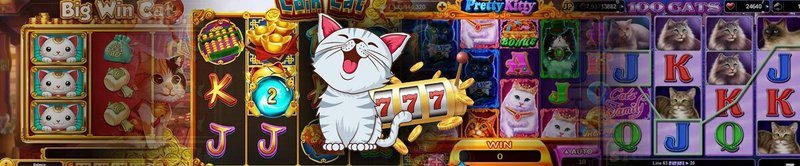 Best catspins Login in Germany