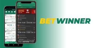 Exploring the BetWinner CI Platform A Comprehensive Overview 2029073472