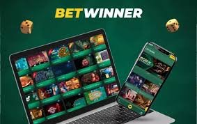 Exploring the BetWinner CI Platform A Comprehensive Overview 2029073472