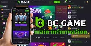 Experience the Thrill of BC.Game Crypto Casino