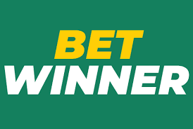 Explore BetWinner The Complete Guide to Betting Excellence