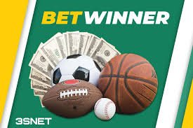 Exploring the Features of the BetWinner Betting Platform