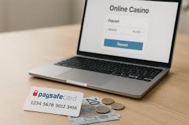 Online Casino Paysafe Sicher und Anonym Spielen 1364742848