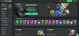 Responsible Gambling Practices at BC Game A Guide for Players