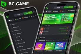 Understanding the BC.Game Privacy Policy Protecting Your Data in Online Gaming