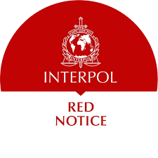 Understanding the Role of Interpol Defense Lawyers 1326430145