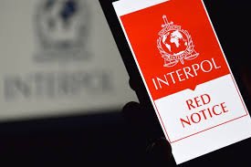 Understanding the Role of Interpol Defense Lawyers 1341776082