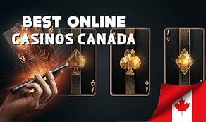 Best Live Casino Sites Your Ultimate Guide to Online Gaming Best Live Casino Sites Your Ultimate Guide to Online Gaming
