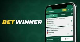 Experience Betting with the BetWinner Brazil App